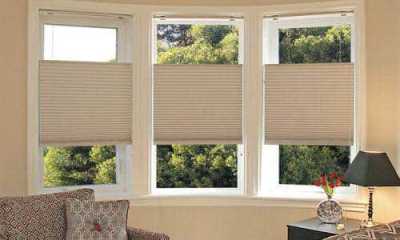 Our Top Down / Bottom Up Pleated shades / blinds provide you with total lighting and privacy control while giving your home a clean and modern look.